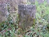 image of grave number 233045